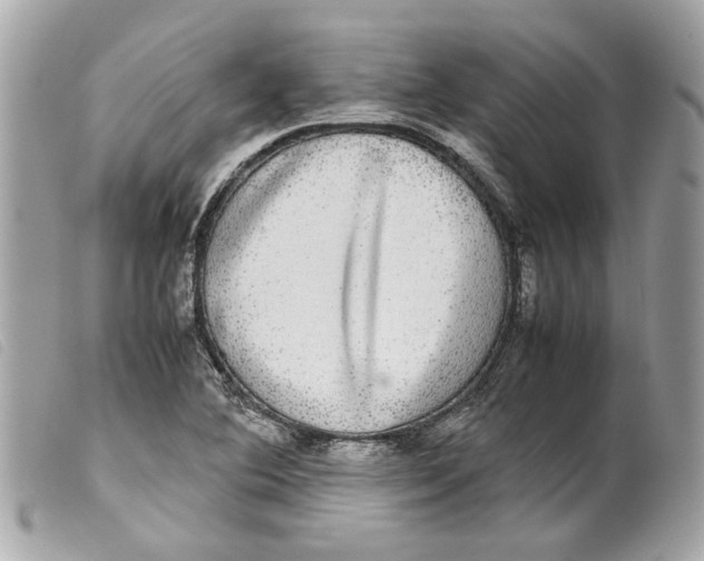 X0000099311364200805301145