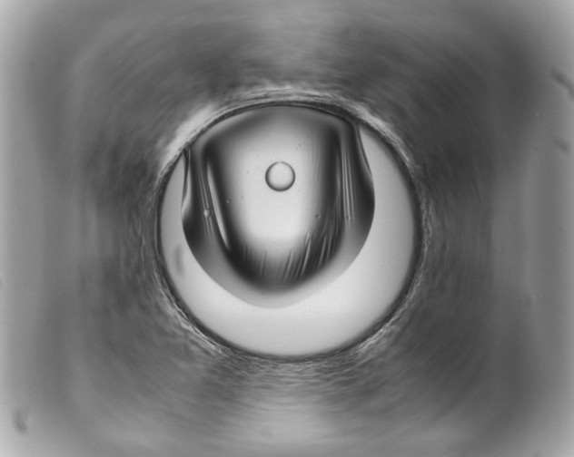 X0000099311365200805301145