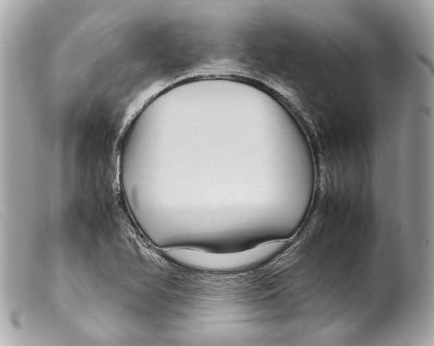 X0000099311366200805301145