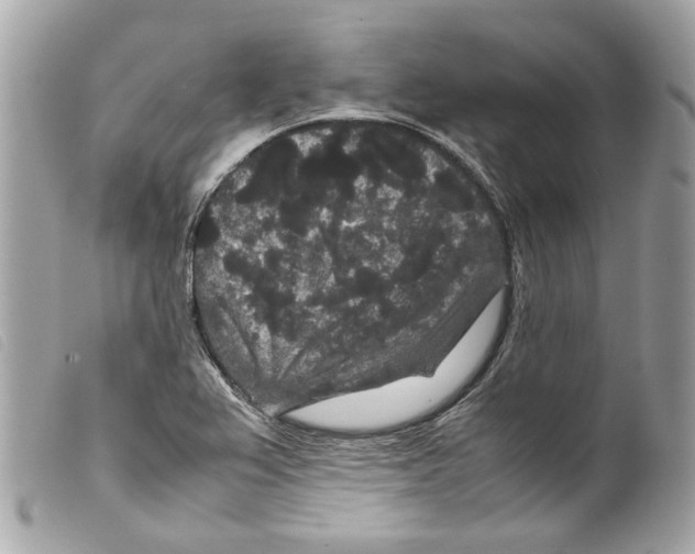 X0000099311367200805301145