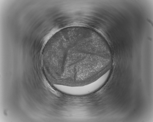 X0000099311371200805301145