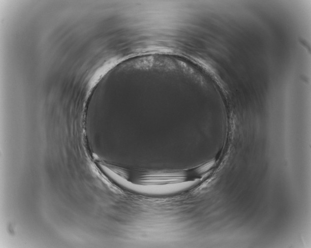 X0000099311373200805301145