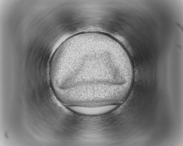 X0000099311374200805301145