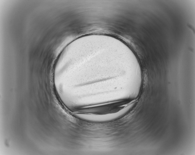 X0000099311375200805301145