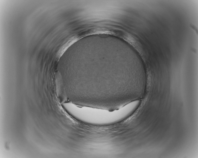 X0000099311377200805301145