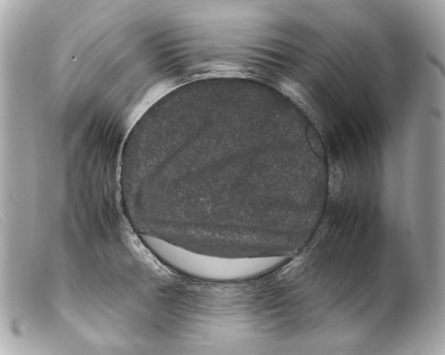 X0000099311378200805301145