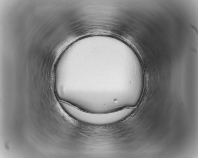 X0000099311379200805301145