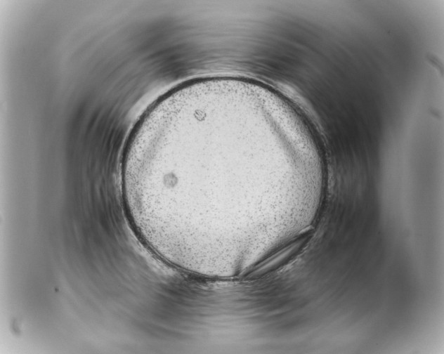 X0000099311380200805301145