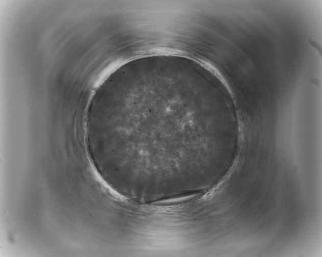 X0000099311381200805301145