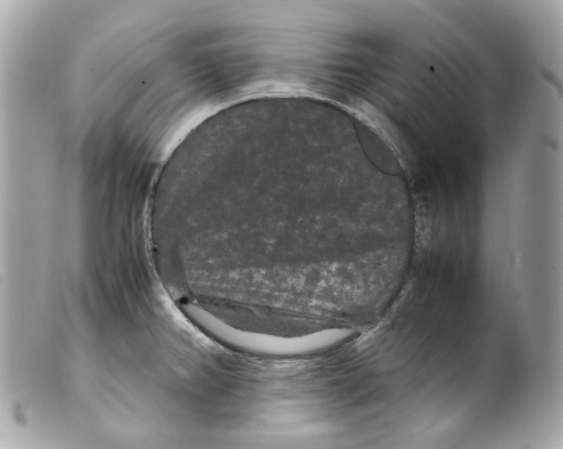 X0000099311382200805301145