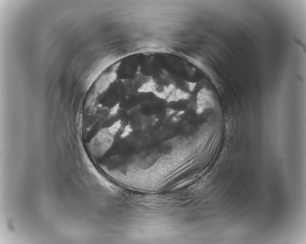 X0000099311383200805301145