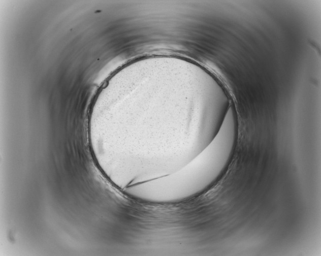 X0000099311384200805301145