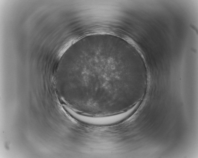 X0000099311385200805301145