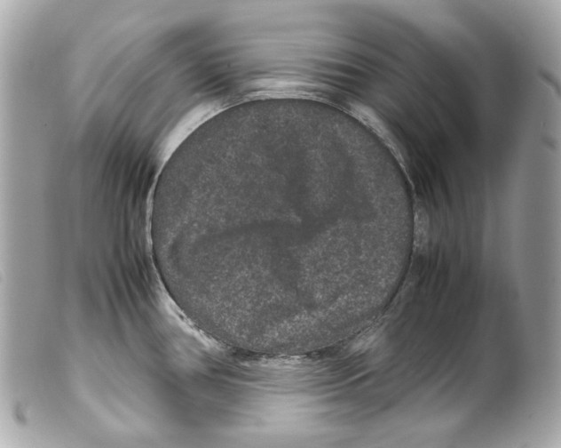 X0000099311386200805301145