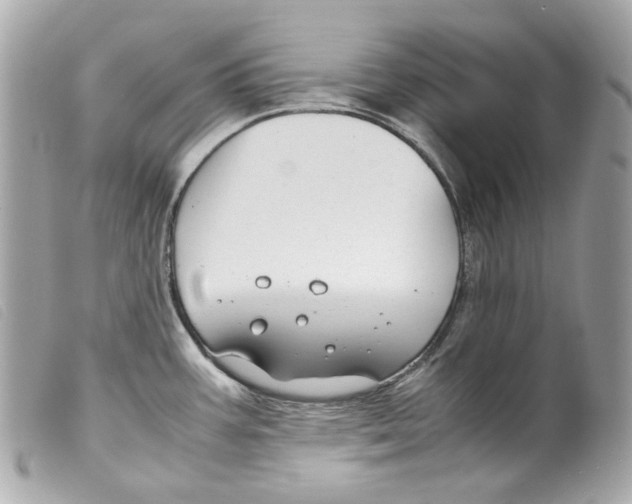 X0000099311387200805301145