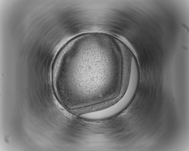 X0000099311388200805301145