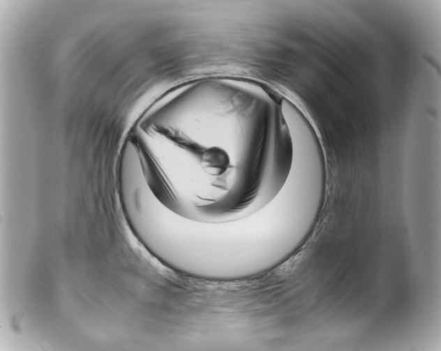 X0000099311389200805301145