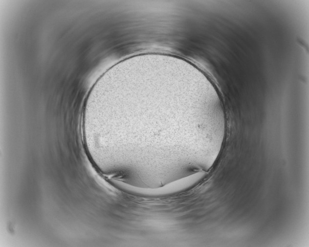 X0000099311391200805301145