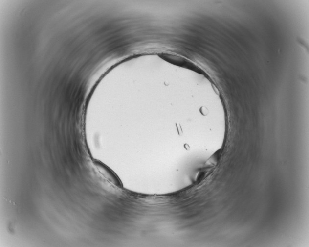 X0000099311392200805301145