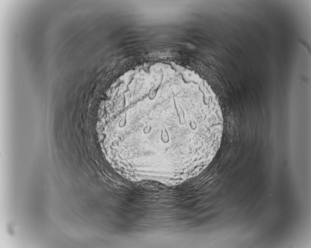 X0000099311393200805301144