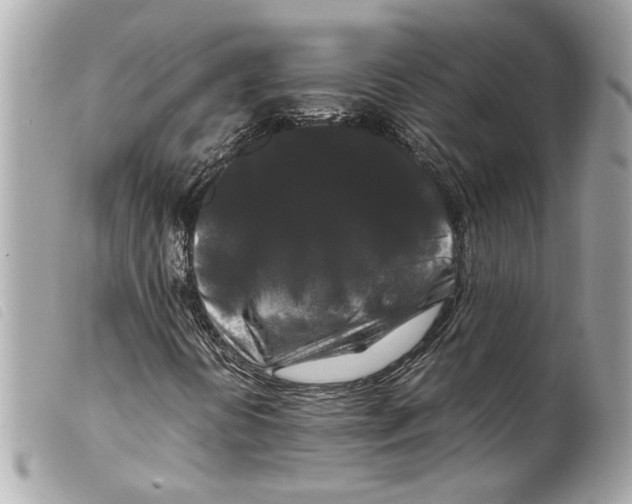 X0000099311394200805301144