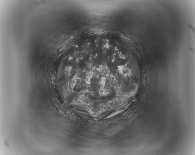 X0000099311397200805301144