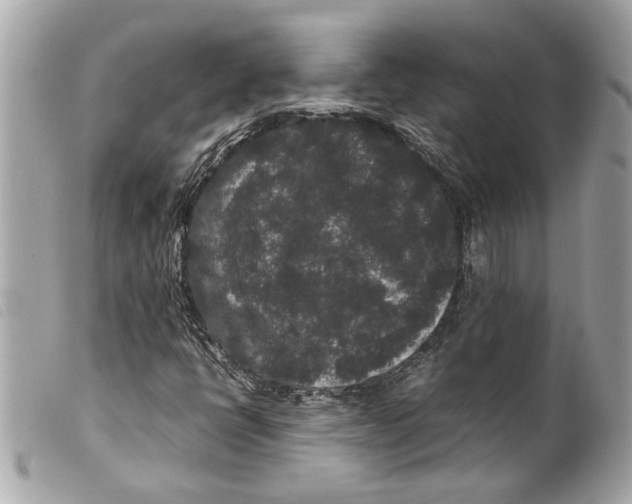 X0000099311398200805301144