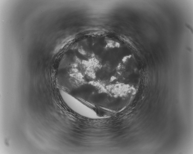 X0000099311399200805301144