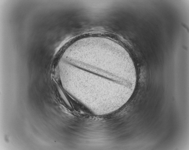 X0000099311400200805301144