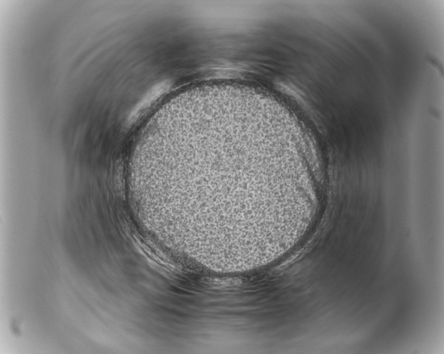 X0000099311403200805301144