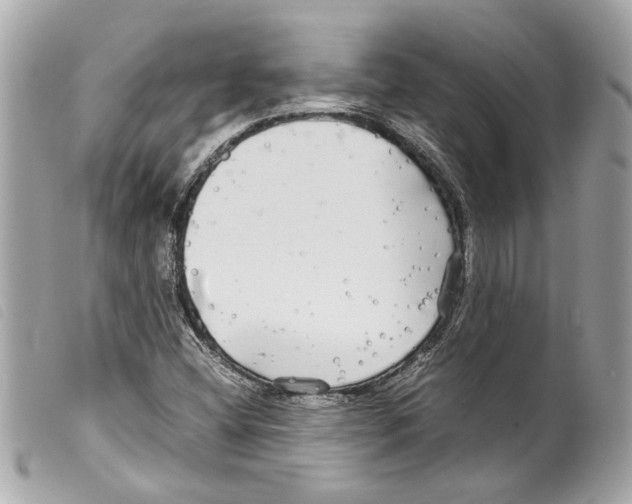 X0000099311404200805301144