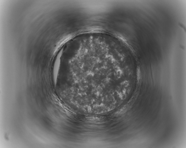 X0000099311405200805301144