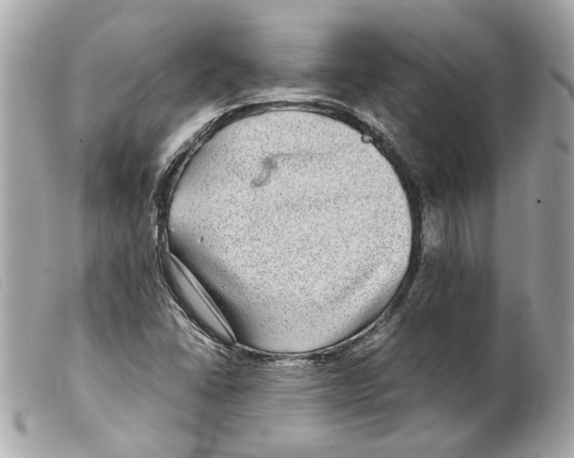 X0000099311406200805301144