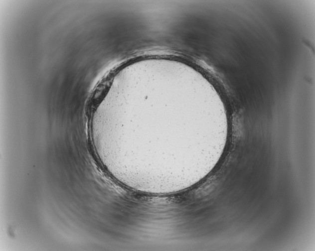 X0000099311408200805301144