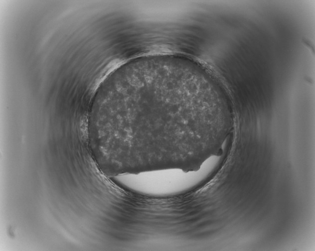 X0000099311409200805301145