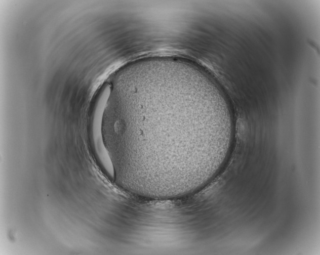 X0000099311410200805301145