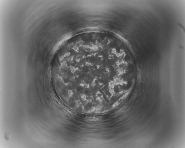 X0000099311411200805301145