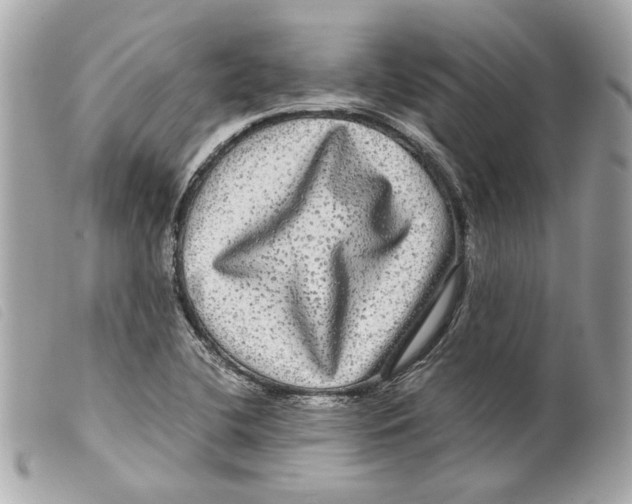 X0000099311412200805301145