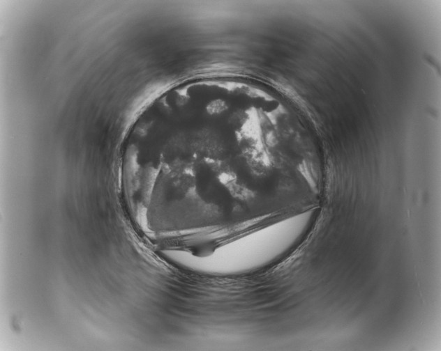 X0000099311413200805301145