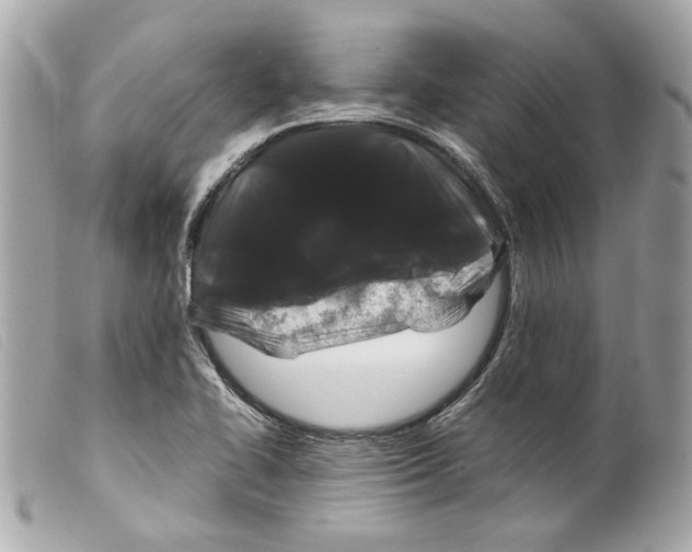 X0000099311414200805301145