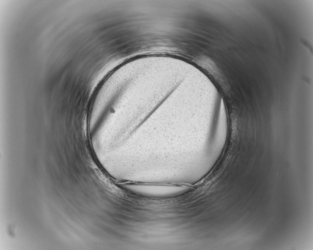 X0000099311420200805301145