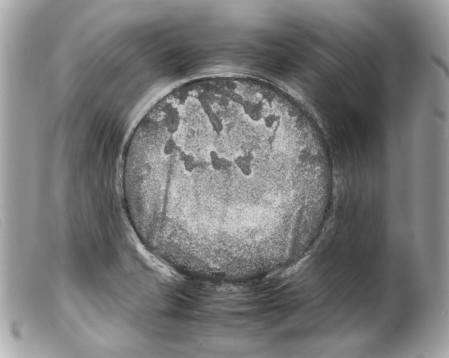 X0000099311421200805301145