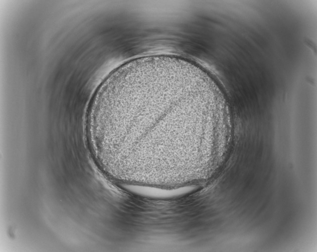 X0000099311423200805301145