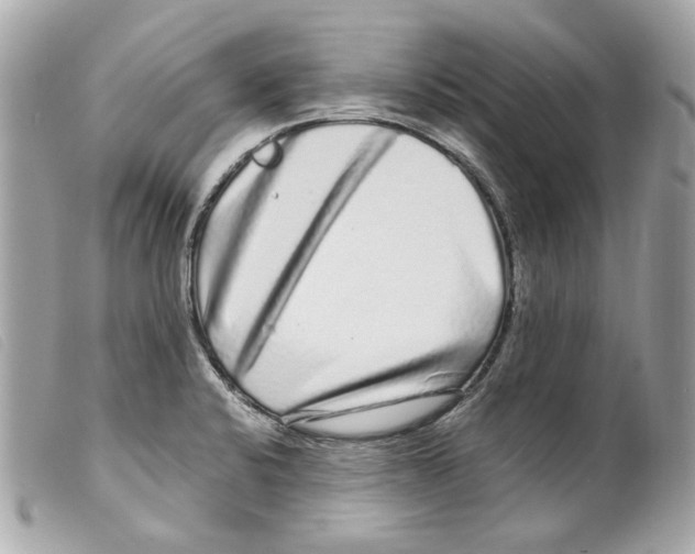 X0000099311424200805301145