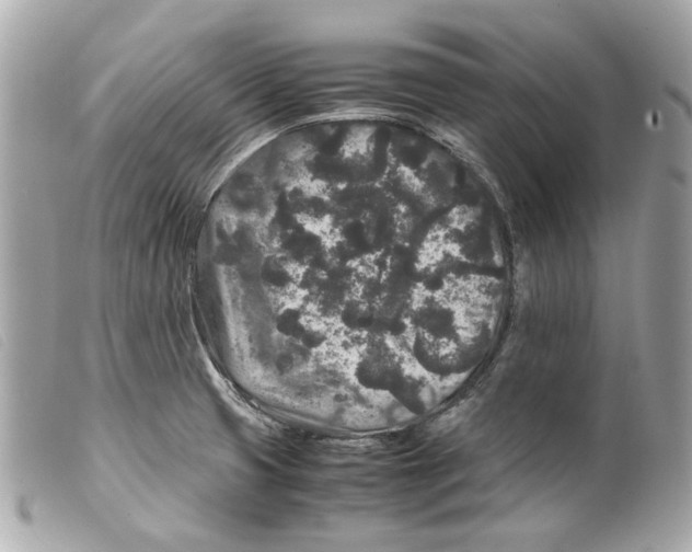 X0000099311425200805301145