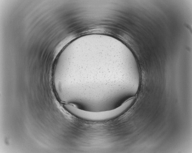 X0000099311426200805301145