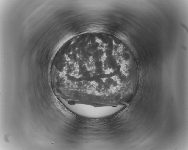 X0000099311427200805301145