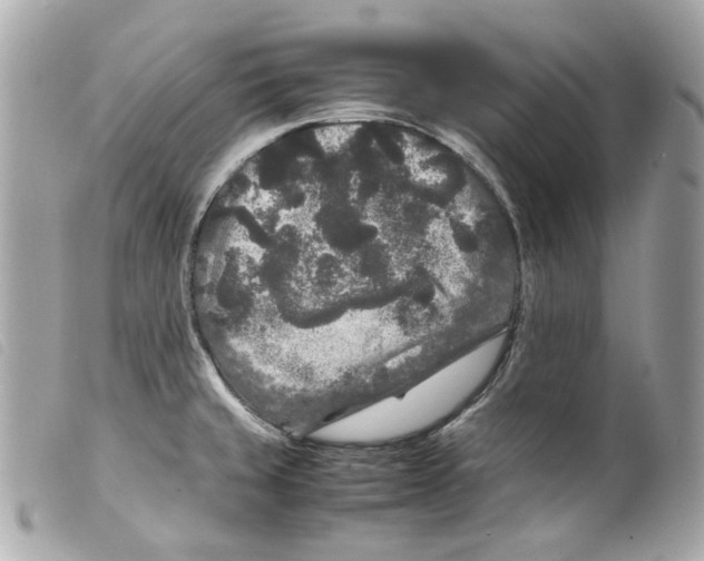 X0000099311429200805301145