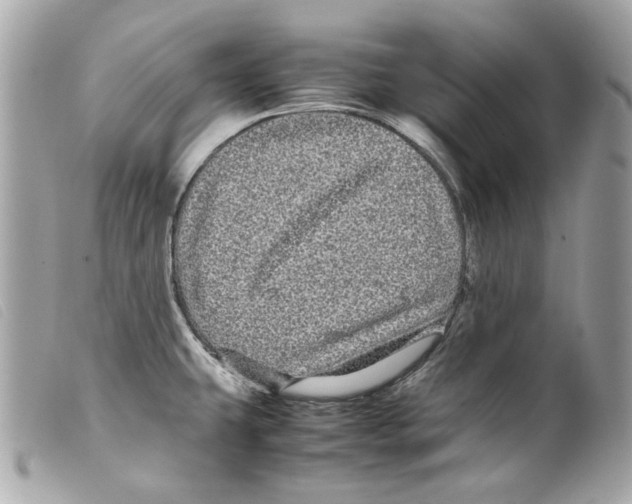 X0000099311431200805301145