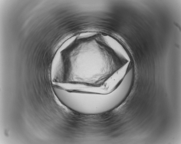 X0000099311433200805301145